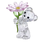 KRIS BEAR:A DAISY FOR YOU