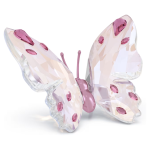 IDYLLIA:BUTTERFLY PINK