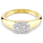 DEXTERA:ANELLO MIDI CRE/GOS 60