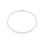 MATRIX:ALL ARD PRL MAGNET WHI/RHS