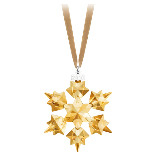 DECORAZIONE EDIZIONE SCS ANNUALE 2010