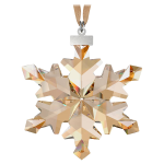 DECORAZIONE EDIZIONE SCS ANNUALE 2012