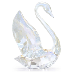 SCS:ANNUAL EDITION SWAN 2024