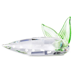 TARGA ANIMALI PROTETTI 2008-2009-2010