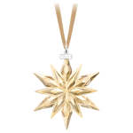 DECORAZIONE EDIZIONE SCS ANNUALE 2011