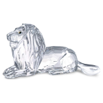 LEONE SCS IMMAGINI D'AFRICA