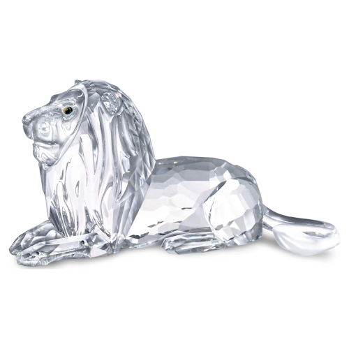 LEONE SCS IMMAGINI D'AFRICA