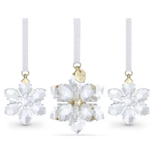 ANNUAL EDITION:ORNAMENT SET 3D 2026